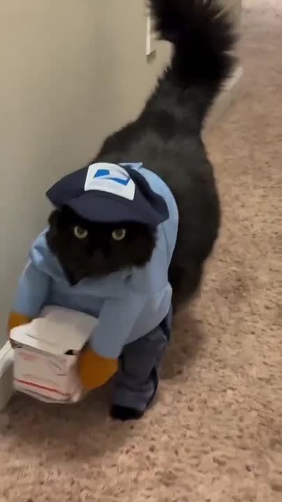 Вам тут посылочка с хорошим настроением