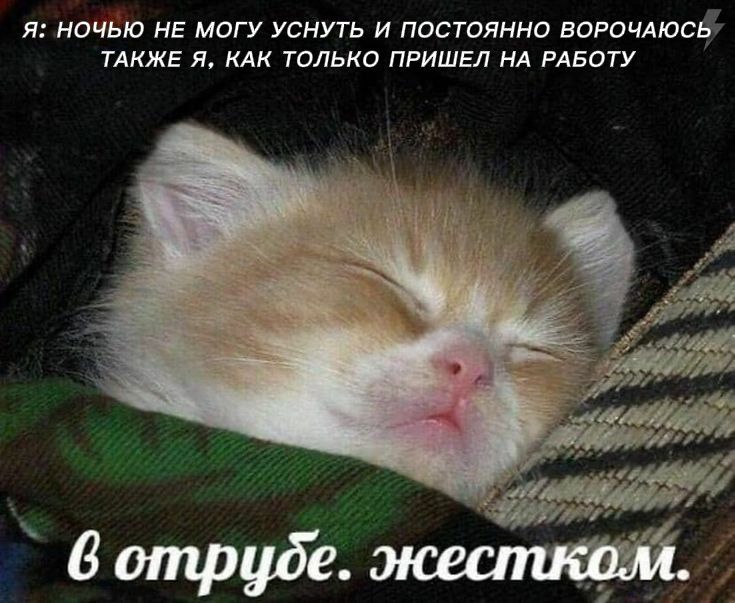 Пятиминутный дневной сон в неподходящих условиях полезен для здоровья