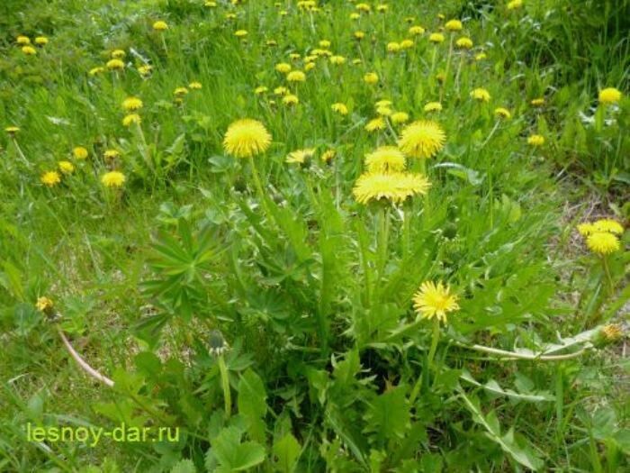 ���������� ����������: ��������� ������ � ���������� ��������