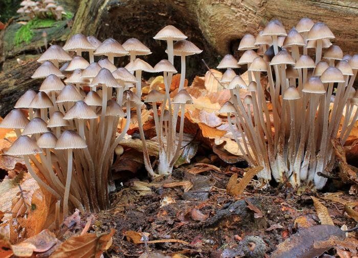 ��� �������� � ��������� �� ������ �������: ������ ��� ��������