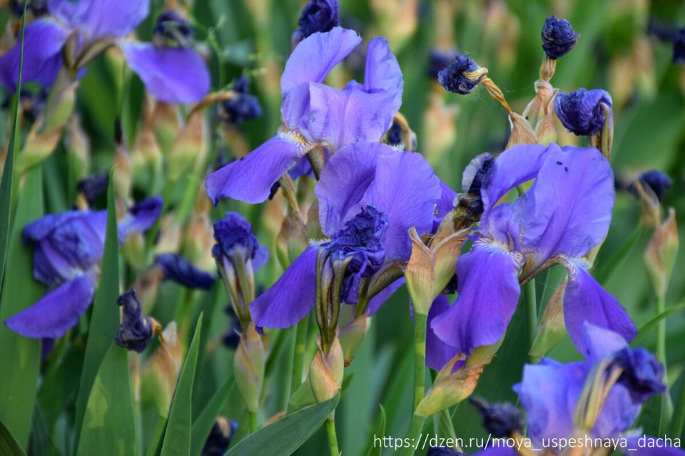 ���� �� ������� ����� ��������: ��� ��������� ��������� ��� ������� ��������