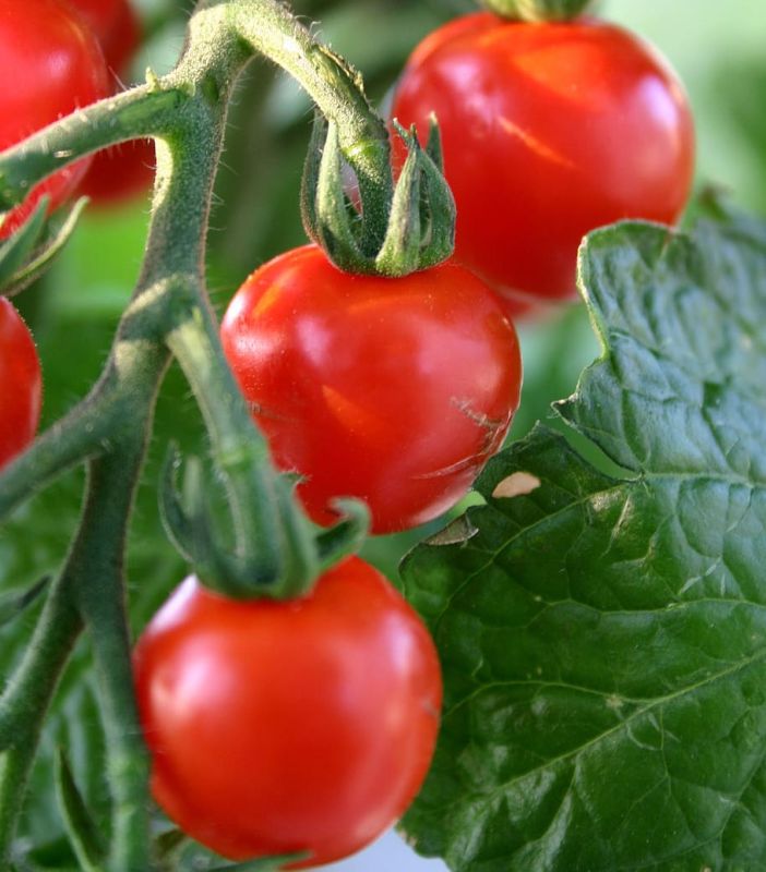 ������: ������� � ����, � ������� ������ �������