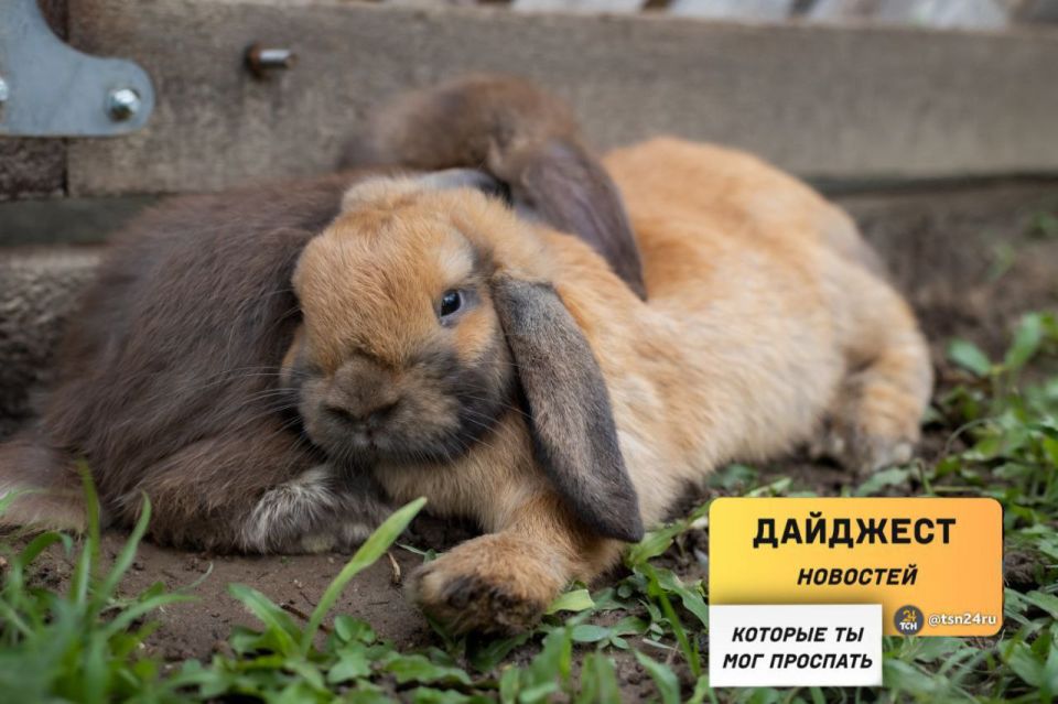 ������������ � ��������, ������� �� ����� ���������� �����