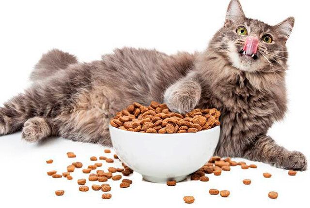 �� ��� �������� �������� ��� ������ ������ ����� ��� �����