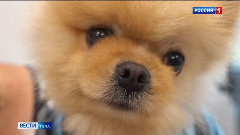 ��� ���� ������� ����� ������, ���� � ��� ���� ������