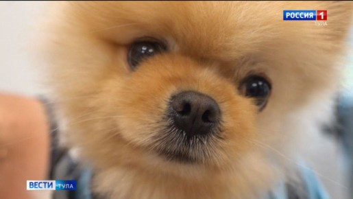 ��� ���� ������� ����� ������, ���� � ��� ���� ������