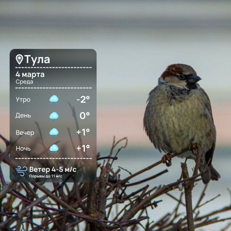 ������ ����. ����� ������ ������ ����� ��� �������� ������� � �����������