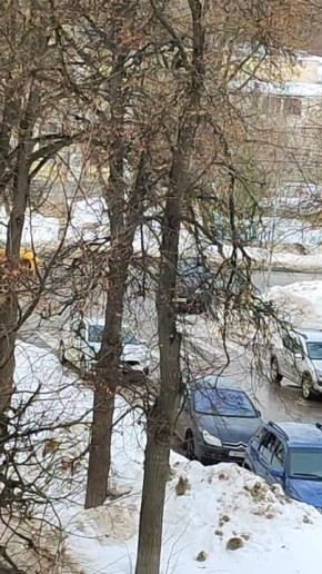 ��� �� �������� ���������. ������ ������