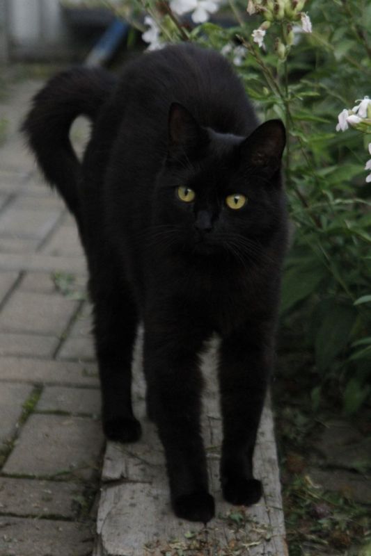 ��� ����������� ����? ��������� �������, � ������ �����