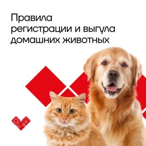 ��� �� ����: ������������ � ����� �������� ����������� � ������ �������� �������� � �������� �������