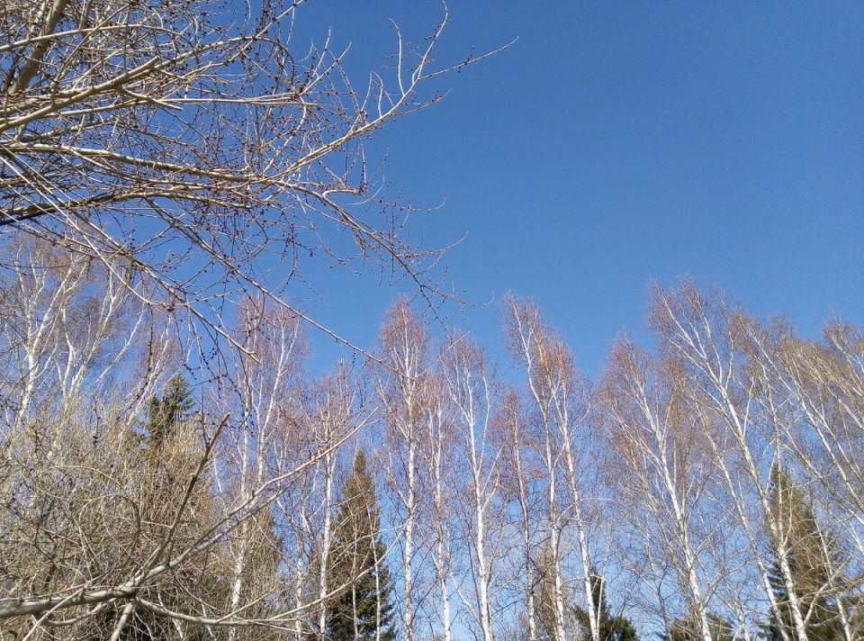 �������� ������: ��� ������� � ���� � �����