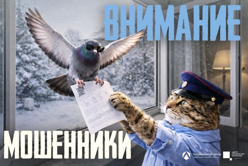 ���������: ���������� ���������