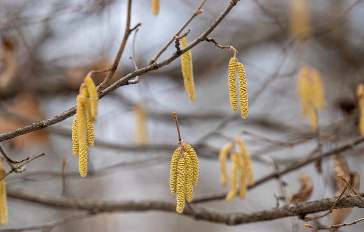 ��������� ����������� ���������� ������� ���������� � �������� �����