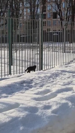 ��������� ���� � ��������� ������ ��������� � �������� ���������