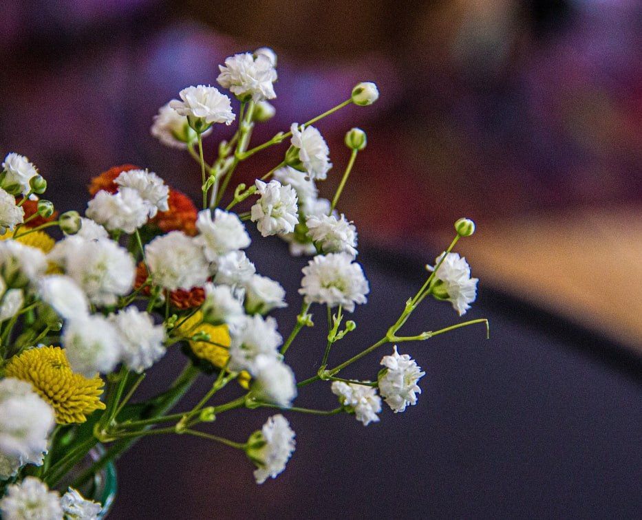 Какая погода ждет тулячек в Международный женский день