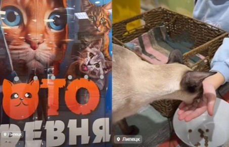 ����� �� ���� �������� � ������ ��� ����� ��������� ����������