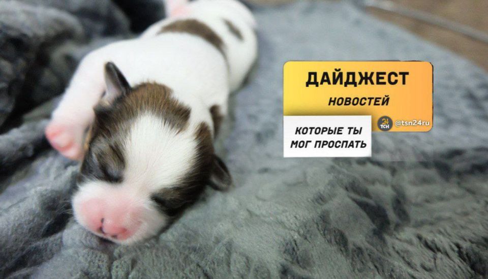 ������������ � ��������, ������� �� ����� ���������� �����