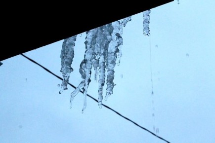 ������, ���������: ���� ����� � �������!