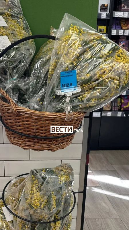 � ���� ������� ����� ������� ������