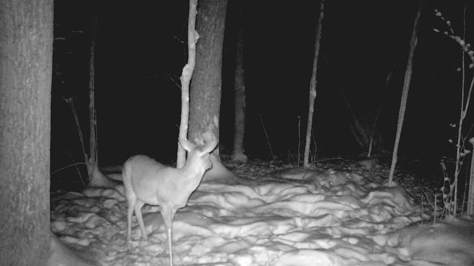 ����������� � ��������� �������� ������� ������ � ���������� �����