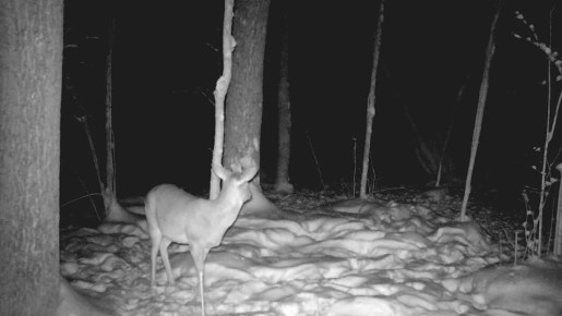 ����������� � ��������� �������� ������� ������ � ���������� �����