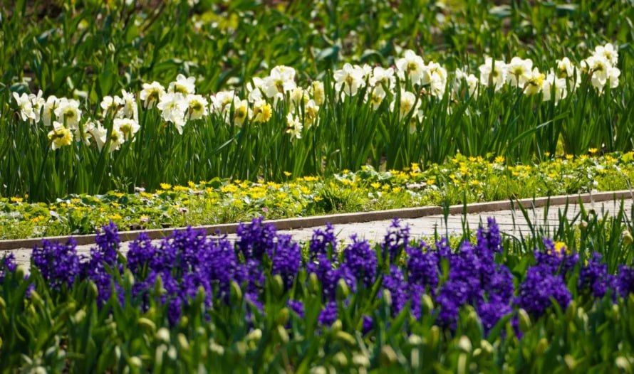 �� �������� � �������� ������� ��������� ����������� ������