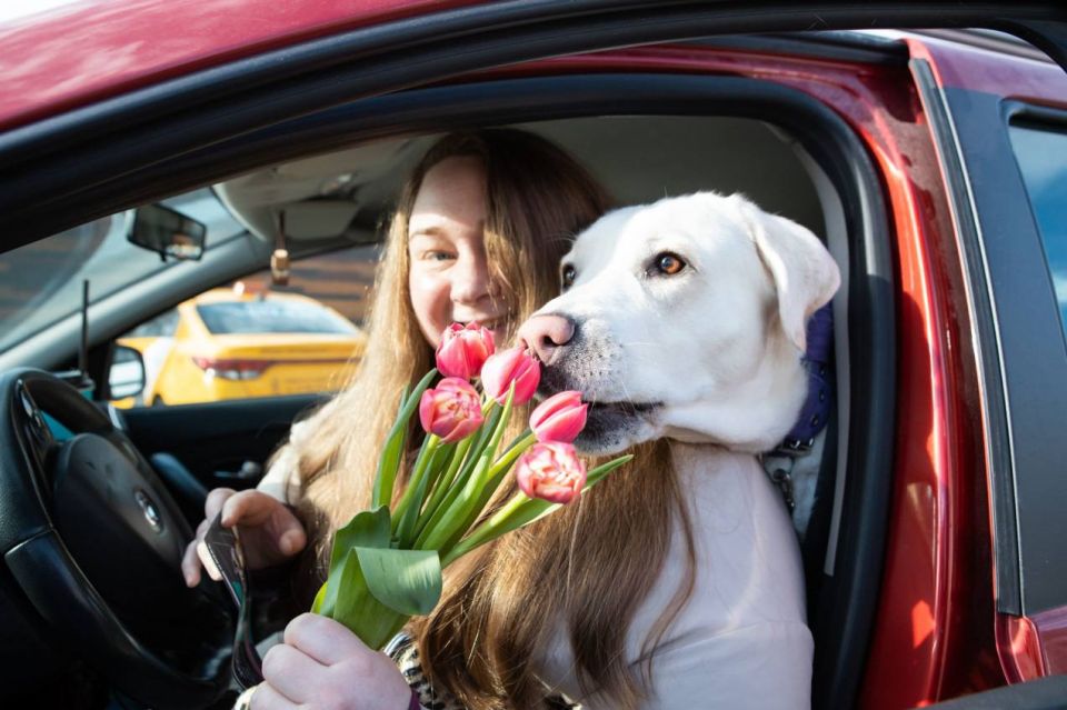 8 ����� �� ������ �������� �� �������, � ���������� ��������