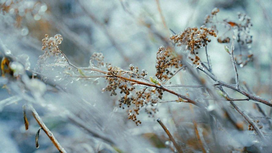 �������� �� ��������� ���� �����