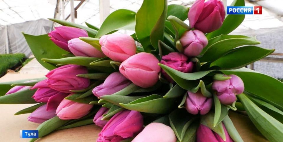 Дмитрий Миляев поздравил женщин с праздником 8 Марта