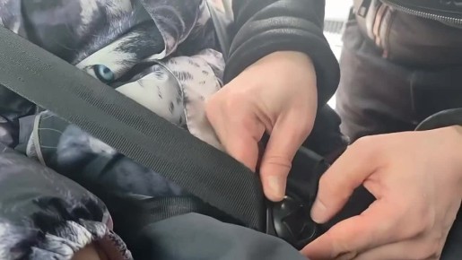 Евангелина Грачева из Тулы с папой присоединяются к челленджу «Пристегну, потому что люблю!»