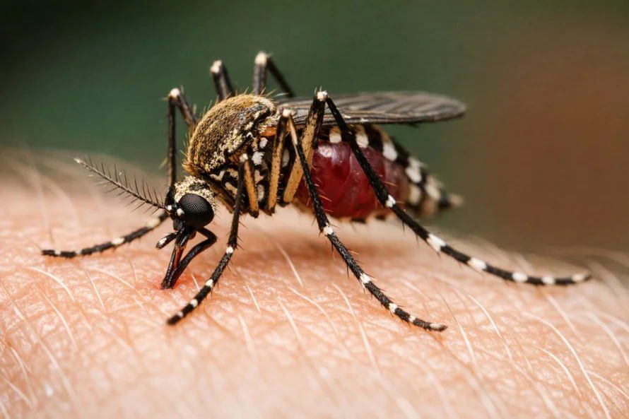 ���� �� ��� � ���� ���� ���������� �����������?