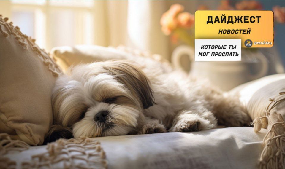 ������������ � ��������, ������� �� ����� ���������� �����