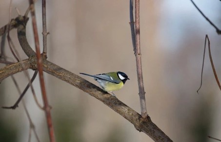 ������ �� 11 �����. ����� ��������: 06:55