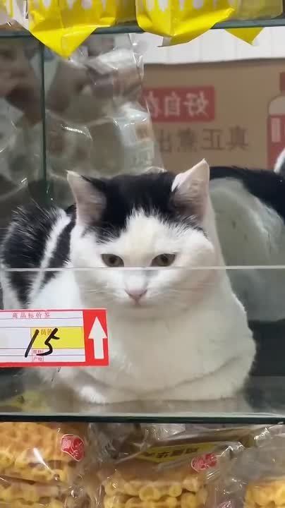 ������� ������� �� ����� ����������?