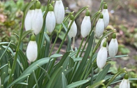 �� ���� ������������ ������ ����� �� ���� ����� ������ � ���� ��������� ���������������