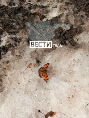 ��, �� ���� ��?. ��������� ������� 12 ����� � ����