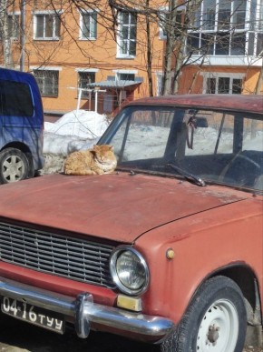 ����� � �������� ������� ��������� � ��� ��������