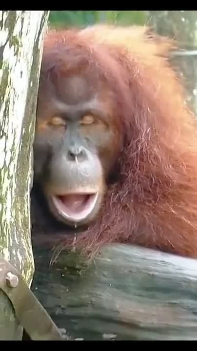 ����� ���������� ������ ��������, �� ���������� ������ ���������� �������