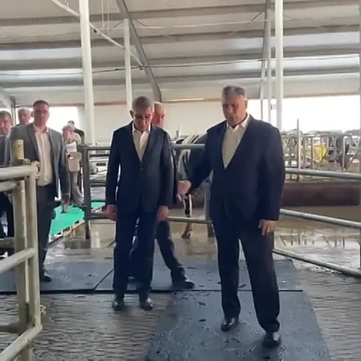 � ���������� ������� ���������� ������� �������� ������������������ ������ � �����������