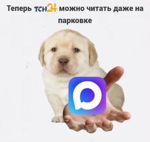 Telegram ����� ����� �� ���� ������