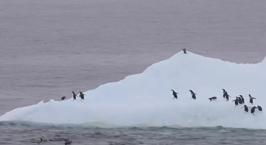 �������� ����������� ������, � ��� �������������, ������ ���� � ����