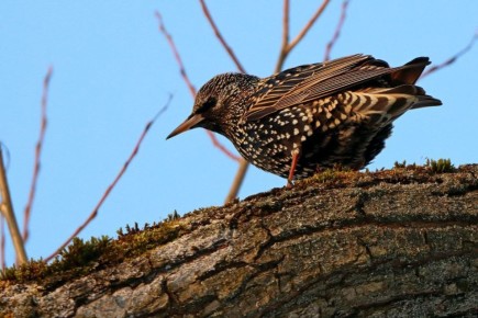 � � ����� ������ �������� ������ ��������� �����