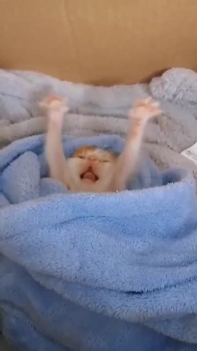 ����� ��������� � ���� �������� � ��������, ����� ����� ���� ��� ����� ������ ������ �� ������