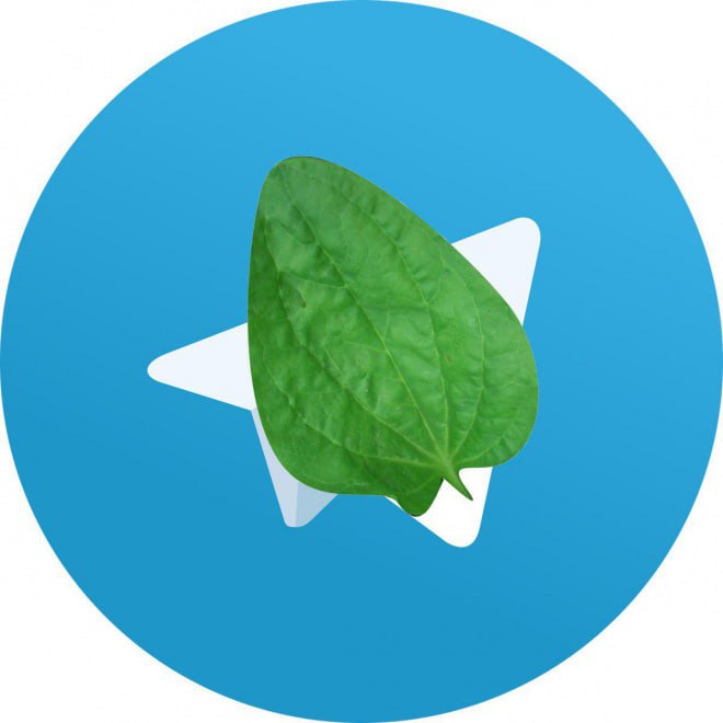 Материнский капитал-2026: как получить, на что можно потратить Материнский капитал-2026: как получить, на что можно потратить