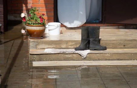 ������ �� 16 �����. ����� ��������: 06:42