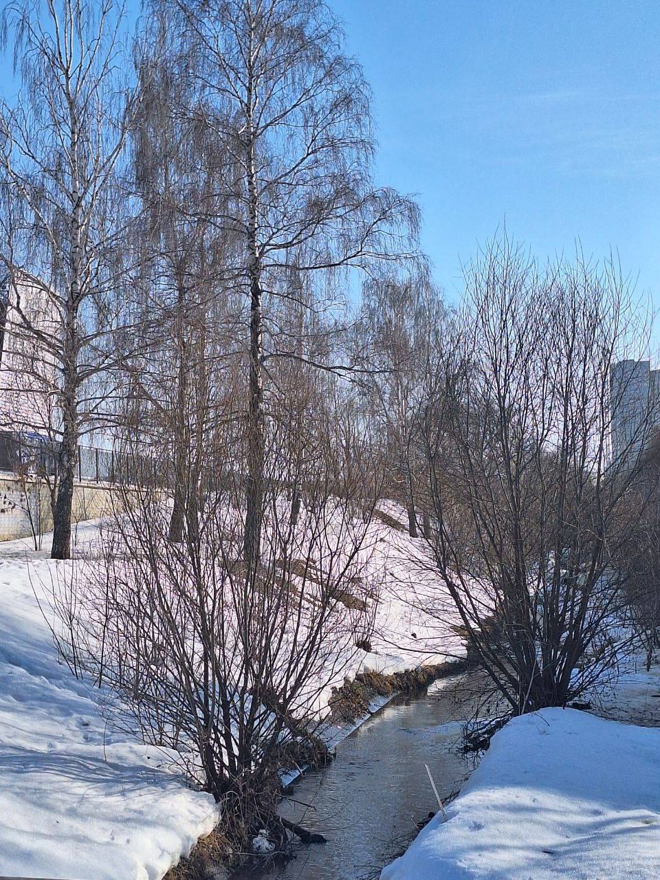 Илья Беспалов: Весна Илья Беспалов: Весна