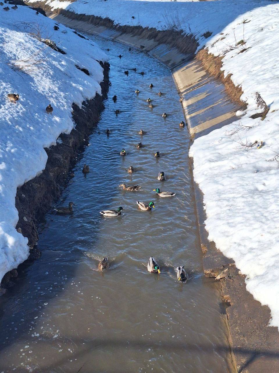 Илья Беспалов: Весна Илья Беспалов: Весна