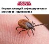 «Первых клещей зафиксировали в Москве и Подмосковье»: Из-за резкого потепления в столице проснулись клещи