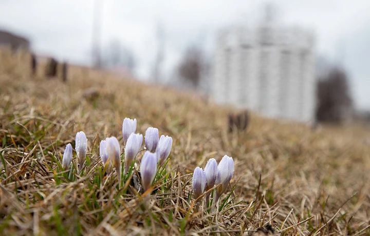 ������ �� 17 �����. ����� ��������: 06:47