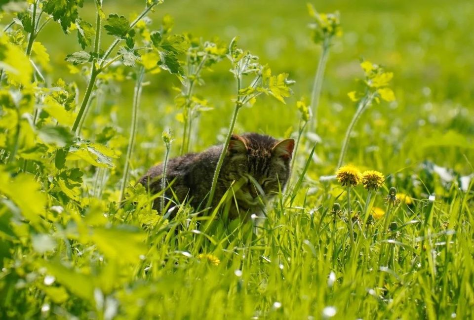 ����� ������ ���� ����������� ������ � ���?